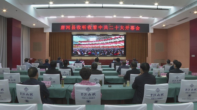 唐河县组织各级各部门收听收看党的二十大开幕会盛况.jpg